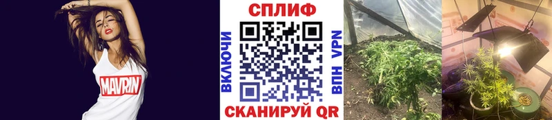 Шишки марихуана планчик  Химки 